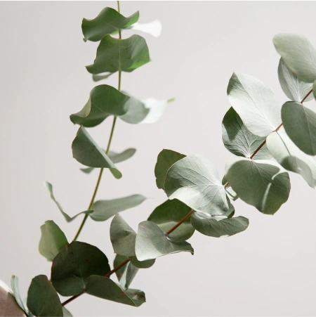 Natuurlijk met Niki space