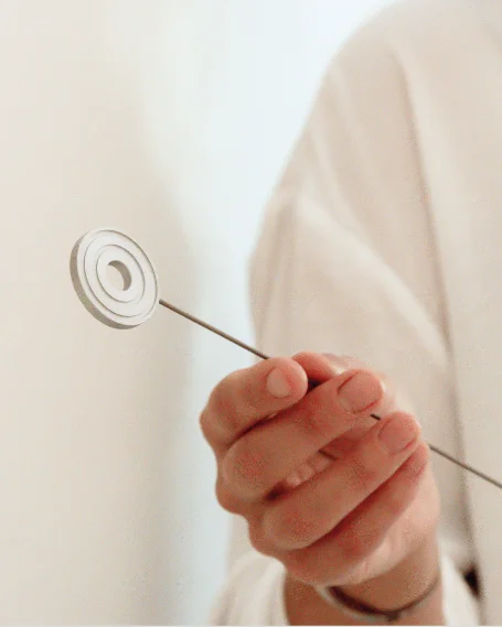 NEI (Neuro Emotionele Integratie)