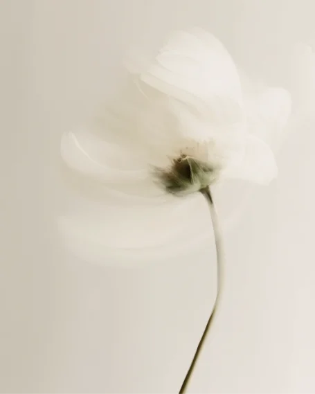 Natuurlijk met Niki space